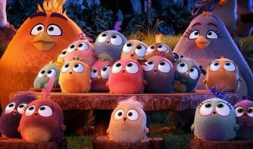 娱乐吃瓜君大嘴猴,揭秘娱乐圈那些不为人知的幕后故事